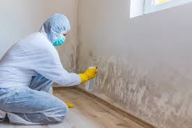 Best Mold Prevention Services  in Taylors Falls, MN